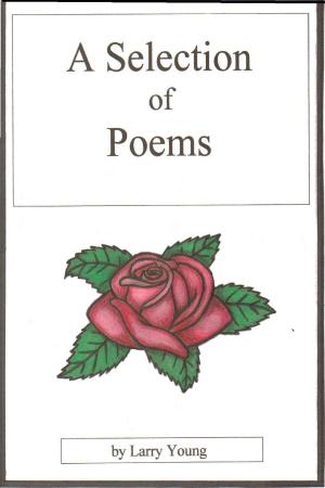 Cover of the book A Selection of Poems by Klaudia Leonhardt
