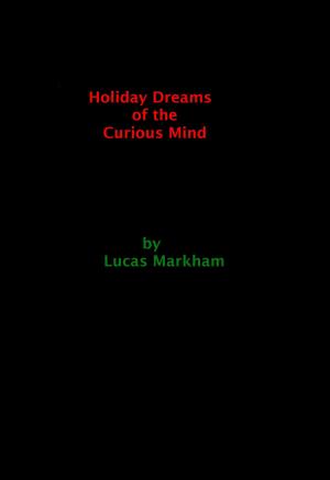 Cover of Holiday Dreams of the Curious Mind