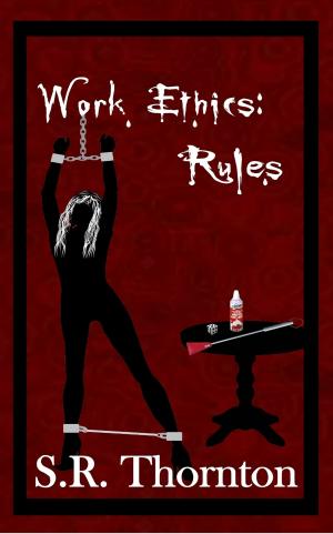 bigCover of the book Work Ethics: Rules by 
