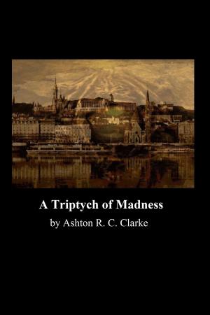 Book cover of A Triptych of Madness