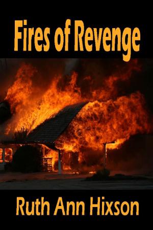 Cover of the book Fires of Revenge by Marilyn Jenkins