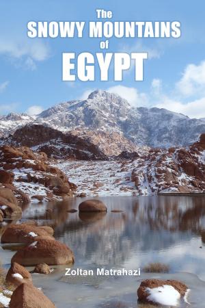 Cover of The Snowy Mountains of Egypt