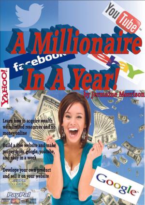bigCover of the book A Millionaire In A Year by 