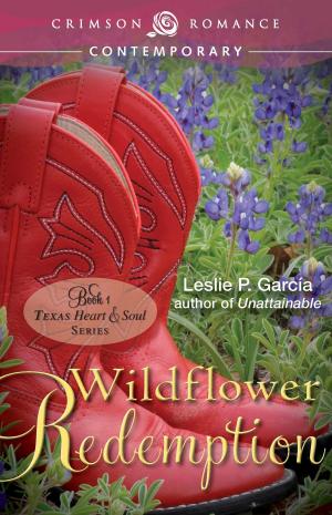 Cover of the book Wildflower Redemption by Anne Bourne