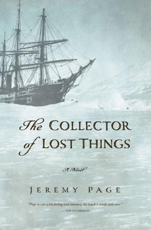 Cover of the book The Collector of Lost Things by Desmond Seward