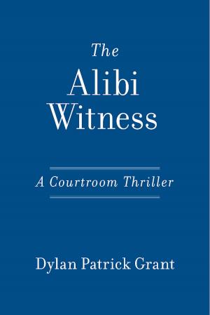Cover of the book The Alibi Witness by Jorge Vasconcelos