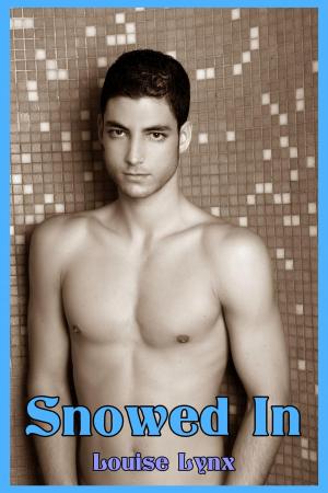Cover of Snowed In (Gay M/m Erotica)