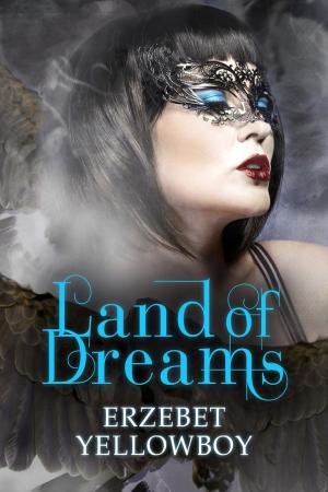 Cover of the book Land of Dreams by Melanie Abed