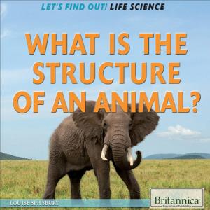 Cover of the book What Is the Structure of an Animal? by Britannica Educational Publishing