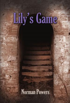 Book cover of LILY'S GAME