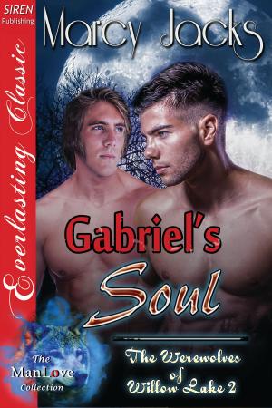 Cover of the book Gabriel's Soul by Cara Covington