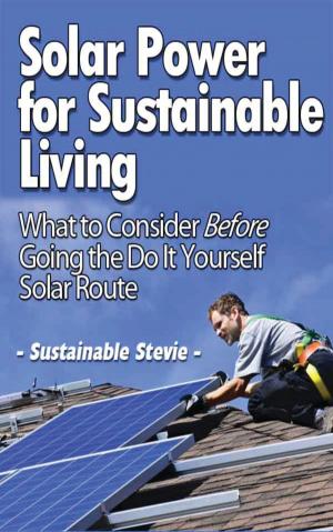 Cover of the book Solar Power for Sustainable Living by Jörg Stroisch