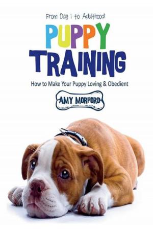 Cover of the book Puppy Training: From Day 1 to Adulthood by Rita Rojas