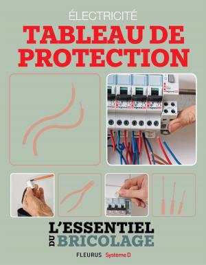 Cover of the book Électricité : Tableau de protection (L'essentiel du bricolage) by Nicolas Vidal, Bruno Guillou, Nicolas Sallavuard, François Roebben
