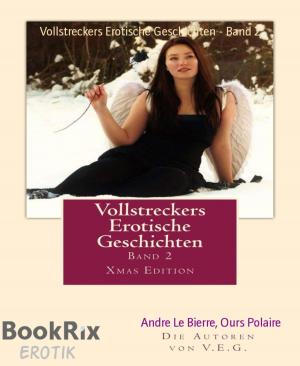 Cover of the book Vollstreckers Erotische Geschichten - Band 2 by Kaya Jasper