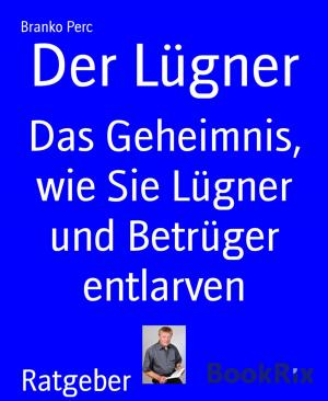 Cover of the book Der Lügner by Ronald M. Hahn