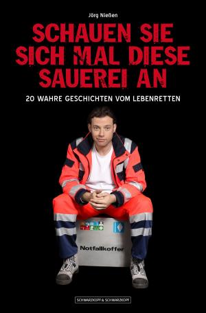 Cover of the book Schauen Sie sich mal diese Sauerei an by Nina Ponath