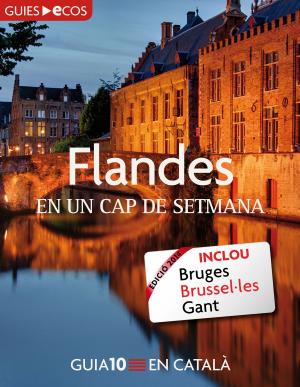 Book cover of Flandes. En un cap de setmana