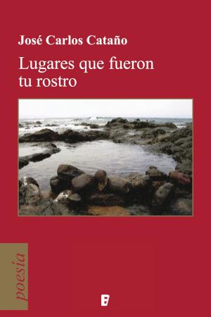 Cover of the book Lugares que fueron tu rostro by Elsa Punset, Rocio Bonilla