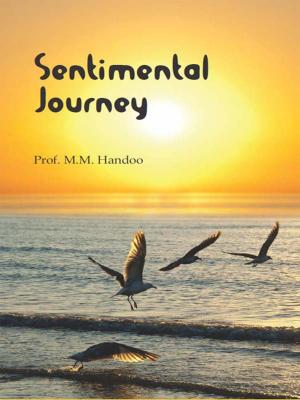 Cover of the book Sentimental Journey by Boyd Morrison