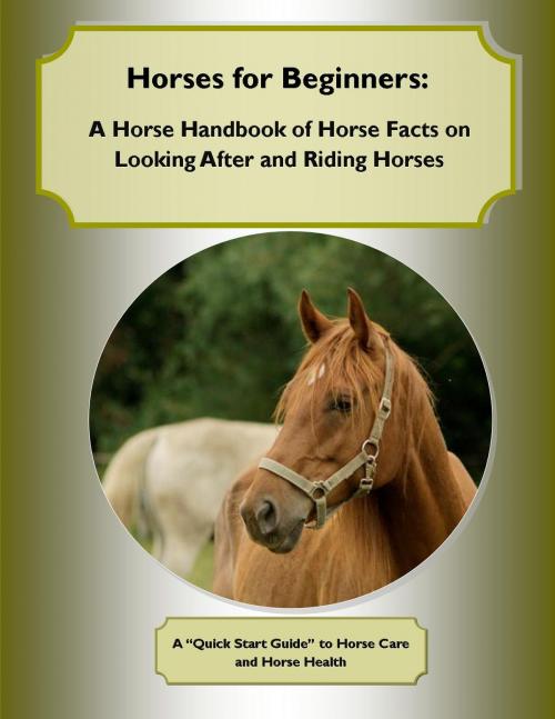 Cover of the book Horses for Beginners: A Horse Handbook of Horse Facts on Looking After and Riding Horses by Cynthia M. Owens, Ramsey Ponderosa Publishing