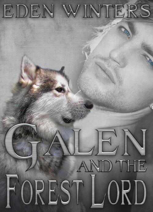 Cover of the book Galen and the Forest Lord by Eden Winters, Rocky Ridge Books