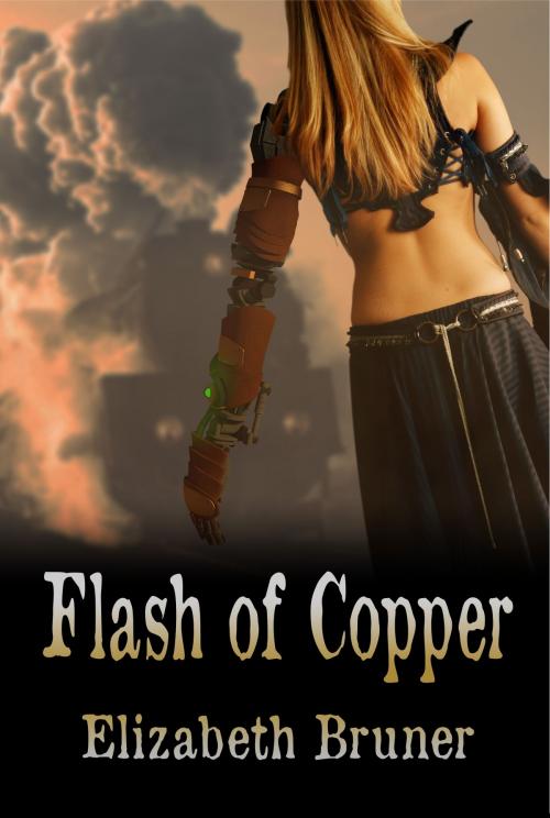 Cover of the book Flash of Copper by Elizabeth Bruner, Shadow Ink Press