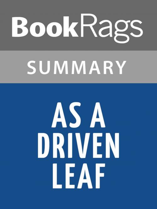 Cover of the book As A Driven Leaf by Milton Steinberg | Summary & Study Guide by BookRags, BookRags