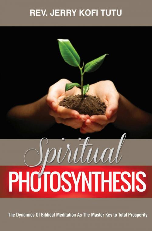 Cover of the book SPIRITUAL PHOTOSYNTHESIS by Kofi Tutu, Createspace Independent Publishing