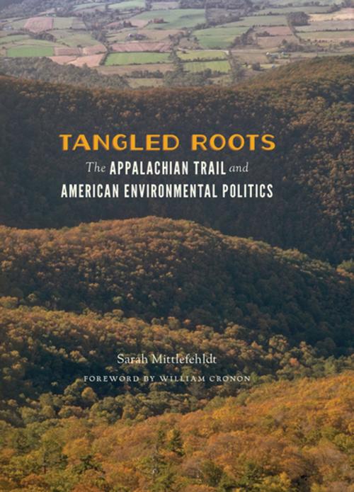 Cover of the book Tangled Roots by Sarah Mittlefehldt, University of Washington Press