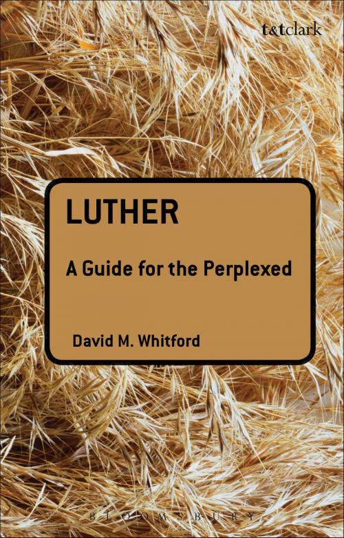 Cover of the book Luther: A Guide for the Perplexed by Dr David M Whitford, Bloomsbury Publishing