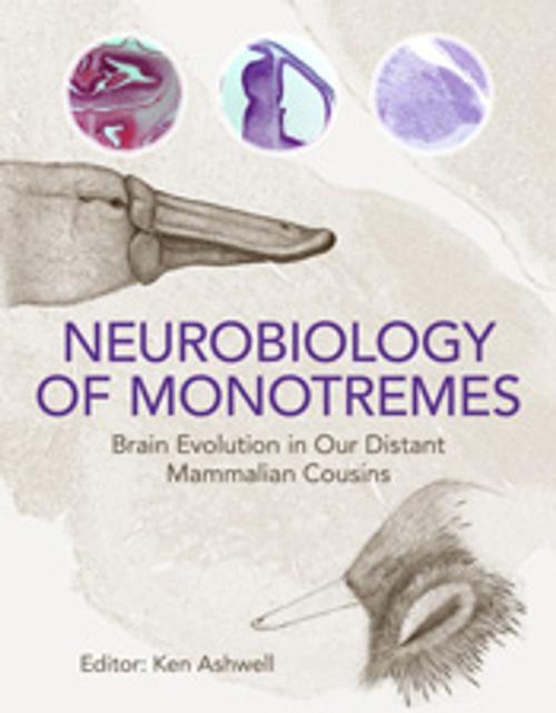 Cover of the book Neurobiology of Monotremes by , CSIRO PUBLISHING