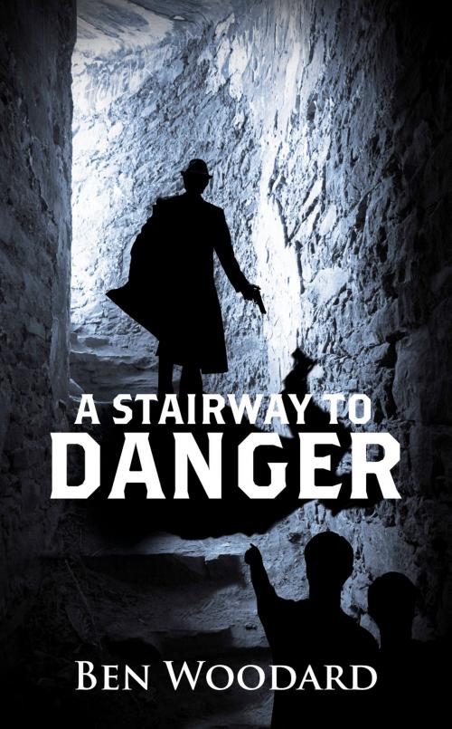 Cover of the book A Stairway to Danger by Ben Woodard, Miller-Martin Press