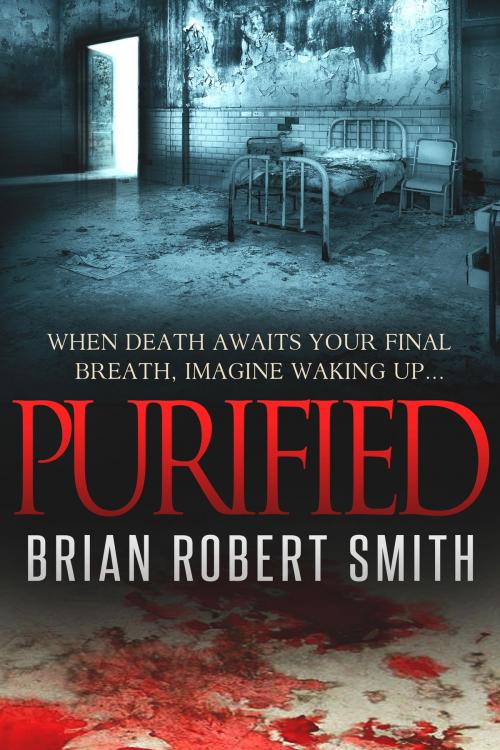 Cover of the book Purified by Brian Robert Smith, 323 Books