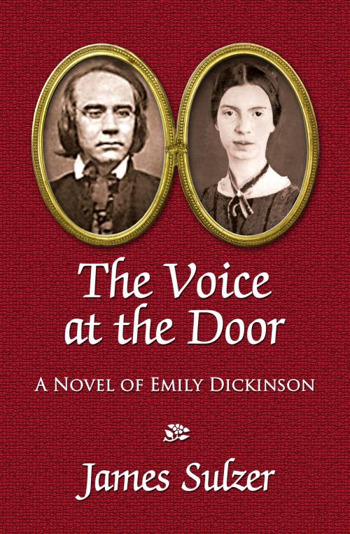 Cover of the book The Voice at the Door by James Sulzer, Fuze Publishing