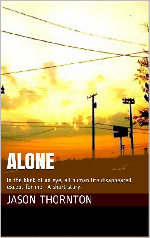 Cover of the book Alone by Jason Thornton, Jason Thornton