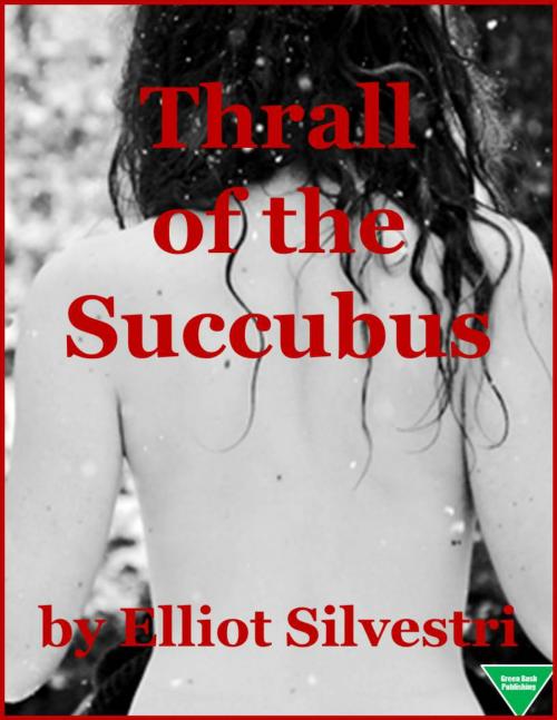 Cover of the book Thrall of the Succubus by Elliot Silvestri, Elliot Silvestri