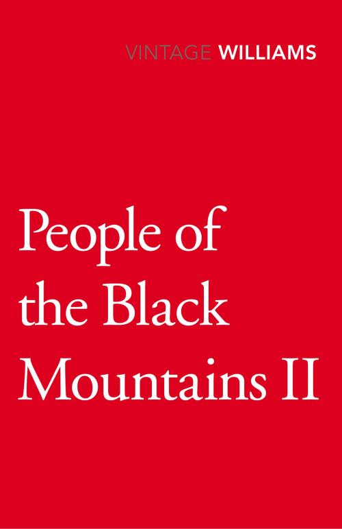 Cover of the book People Of The Black Mountains Vol.Ii by Raymond Williams, Random House