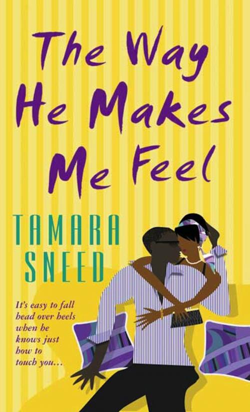 Cover of the book The Way He Makes Me Feel by Tamara Sneed, St. Martin's Press