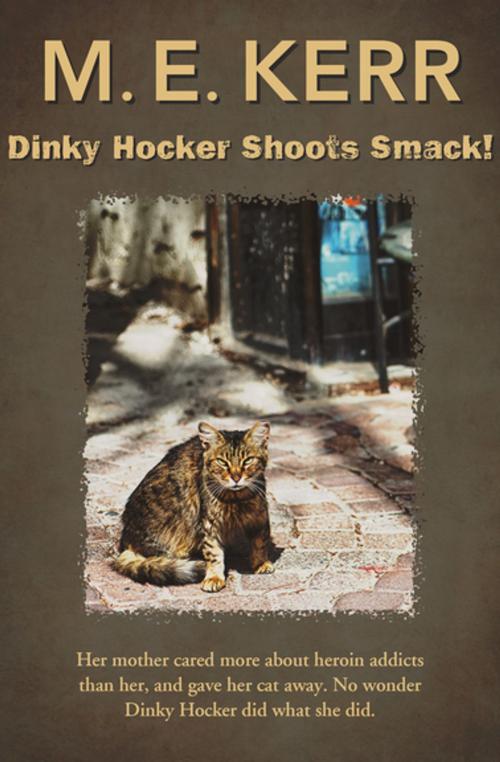 Cover of the book Dinky Hocker Shoots Smack! by M. E. Kerr, Open Road Media