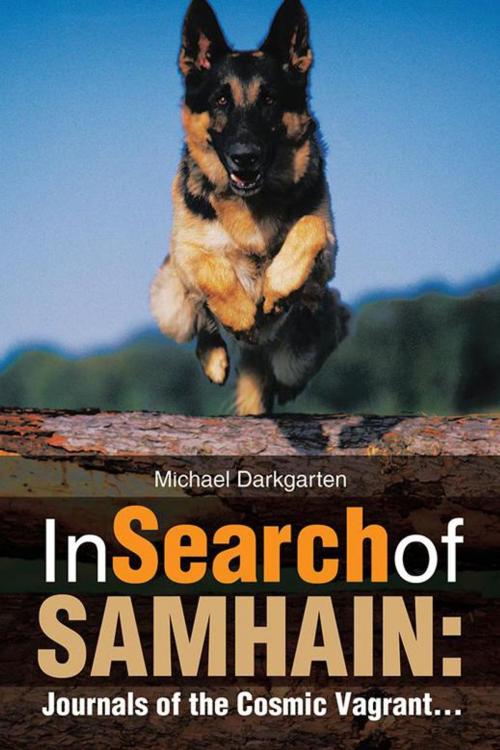 Cover of the book In Search of Samhain: by Michael Darkgarten, Trafford Publishing