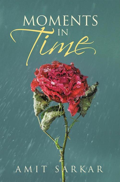 Cover of the book Moments in Time by Amit Sarkar, iUniverse