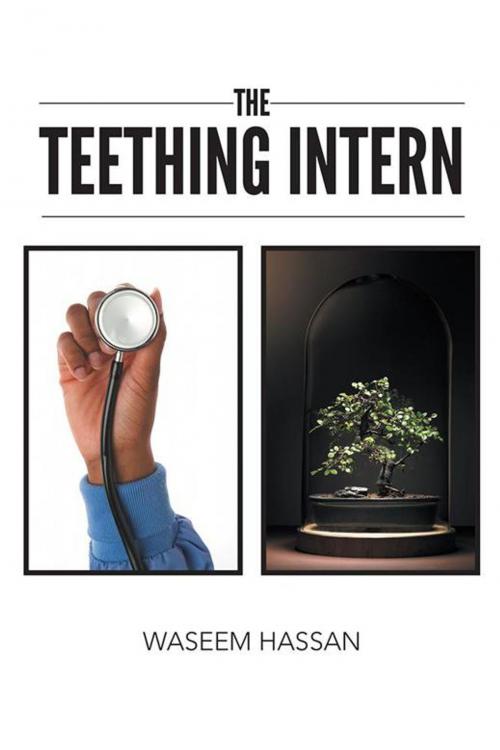 Cover of the book The Teething Intern by WASEEM HASSAN, AuthorHouse
