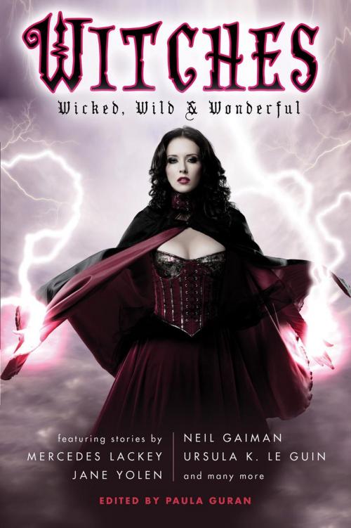 Cover of the book Witches: Wicked, Wild & Wonderful by Paula Guran, Prime Books