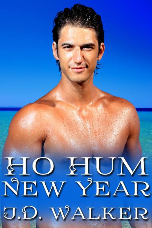 Cover of the book Ho Hum New Year by J.D. Walker, JMS Books LLC