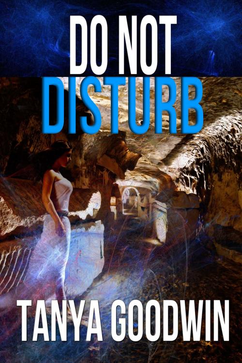 Cover of the book Do Not Disturb by Tanya Goodwin, Tanya Goodwin