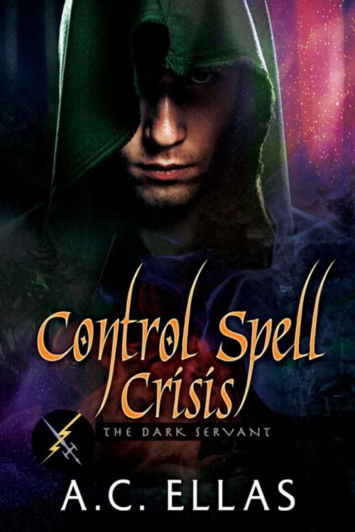 Cover of the book Control Spell Crisis by A.C. Ellas, eXtasy Books Inc