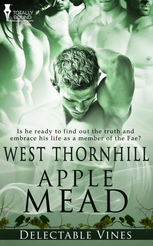 Cover of the book Apple Mead by West Thornhill, Totally Entwined Group Ltd