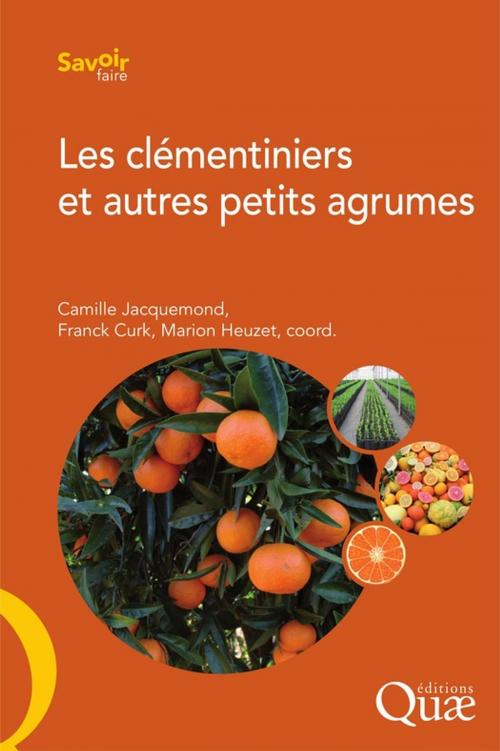 Cover of the book Les clémentiniers et autres petits agrumes by Camille Jacquemond, Marion Heuzet, Franck Curk, Quae