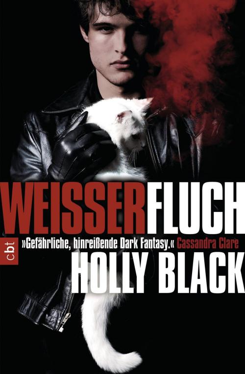 Cover of the book Weißer Fluch by Holly Black, cbj